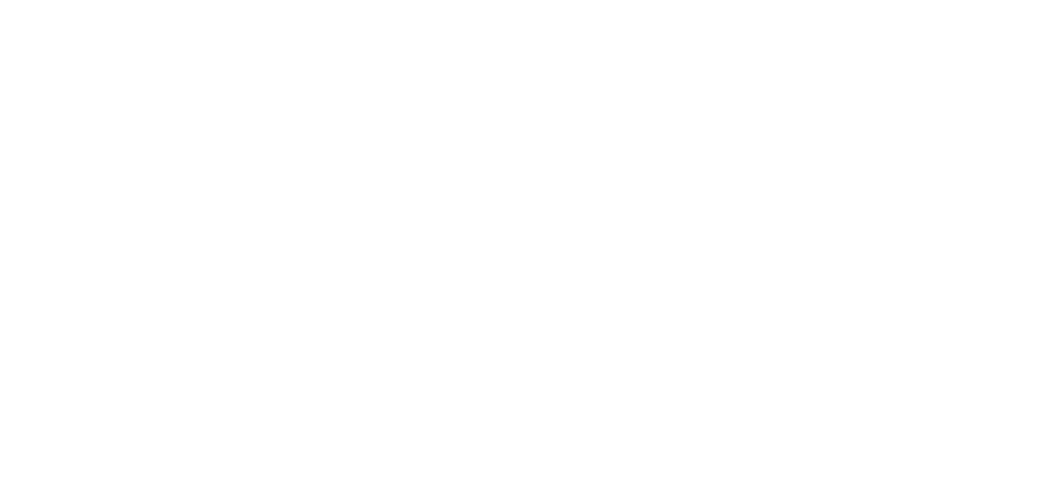 Simmons University Logo